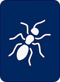 Fourmis
