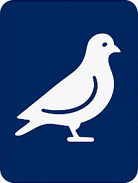 pigeonsVolatiles